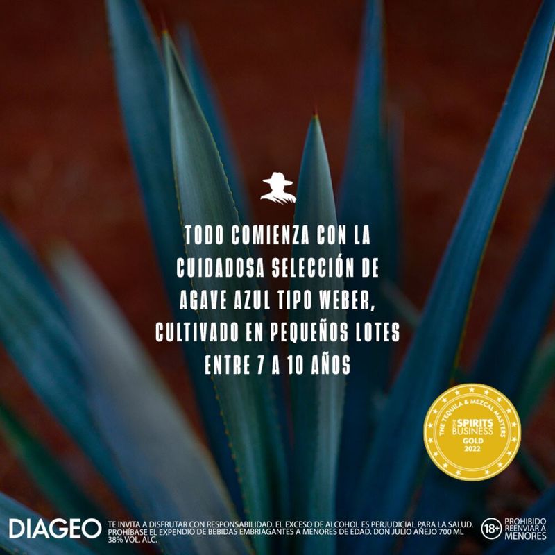 TEQUILA DON JULIO ANEJO_P