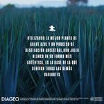 TEQUILA DON JULIO BLANCO_L