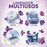 FABULOSO LAVANDA_B