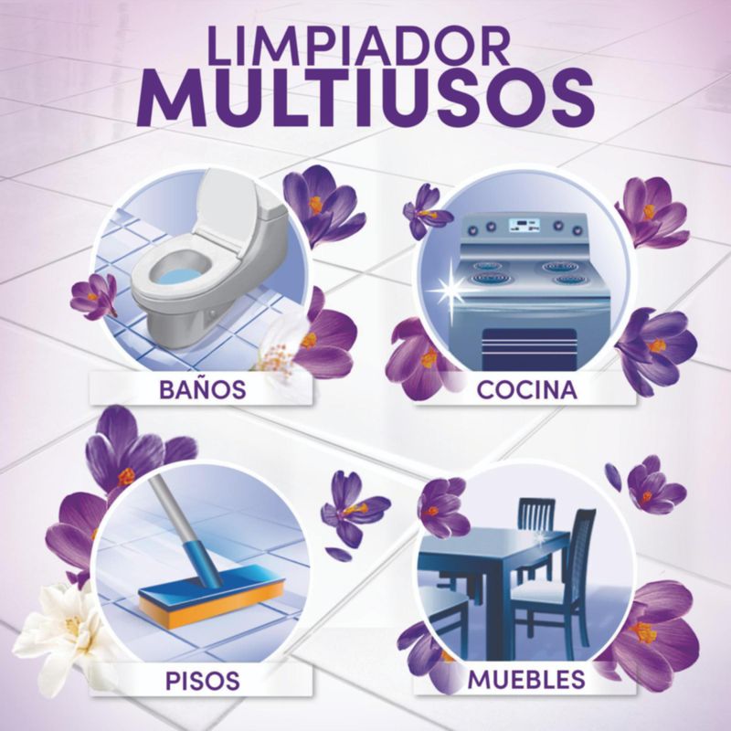 FABULOSO LAVANDA_B
