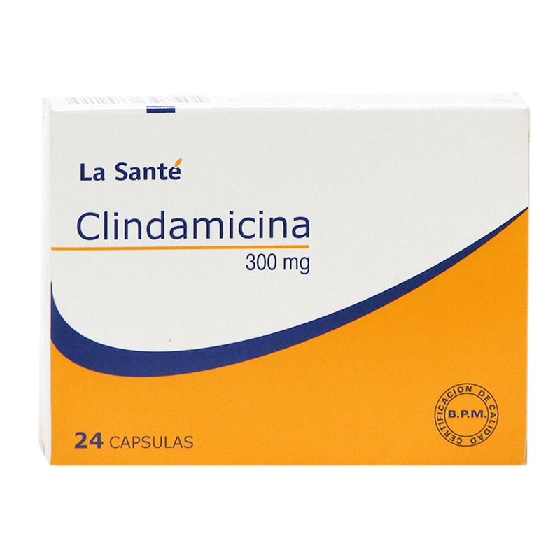 CLINDAMICINA 300 MG_F