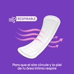 PROTECTORES KOTEX LARGOS EXTRA_A
