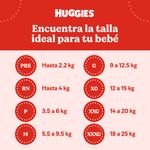 PAÑAL HUGG ACTIVE SEC E4 XG_L