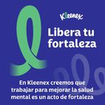PANUELOS KLEENEX SUPER_L