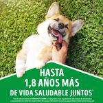 DOG CHOW CACHORROS POLLO_B