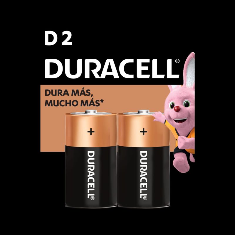 PILA DURACELL ALCALINA D2_F
