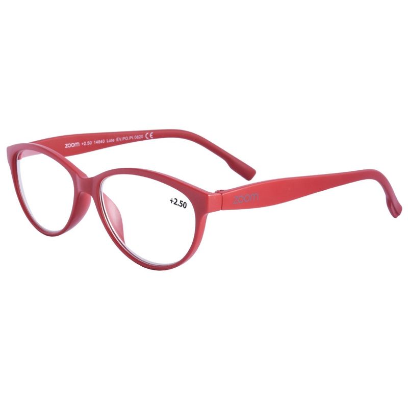 GAFAS LECTURA BASIC F 2 50_P