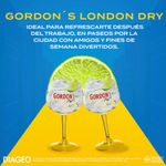 GINEBRA GORDON DRY GIN_L