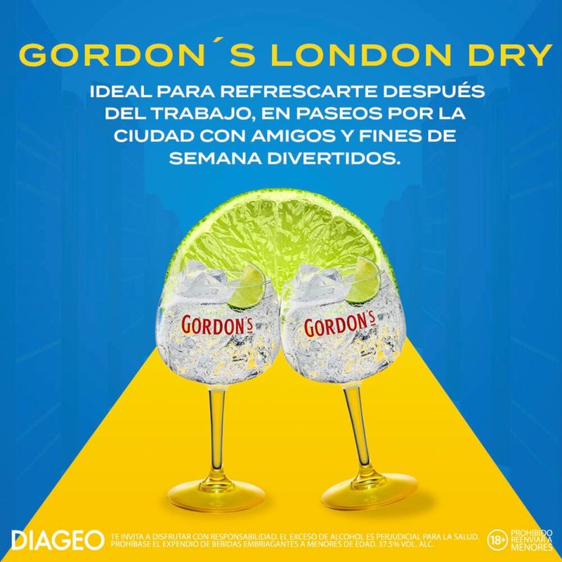 GINEBRA GORDON DRY GIN_L