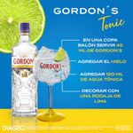 GINEBRA GORDON DRY GIN_P