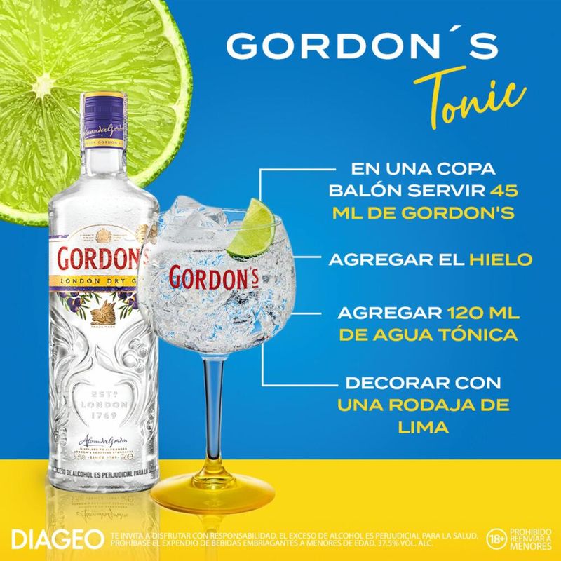 GINEBRA GORDON DRY GIN_P