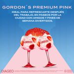 GINEBRA GORDONS PREMIUM PINK_L