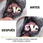 image-f44fe9db3de04494bd327ca8bfa503f7