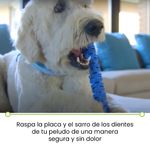 image-2f00cff74ffe42028408e840115f1b9a