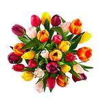 image-6bf2c9f231924a22a6b8ae174ce33ddc
