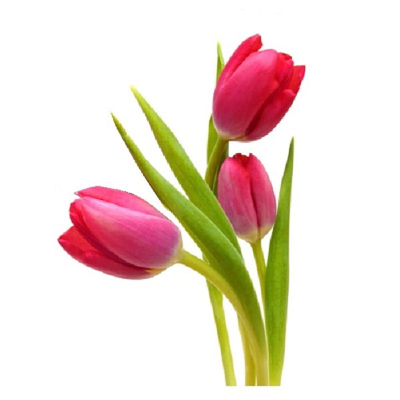 image-12a0f2daee584d90accd06098f9021bc