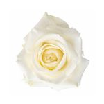 image-334c8cfb02c6455fbdfb8f213d831b90