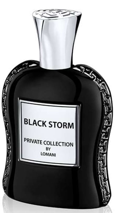 Black 2025 storm perfume